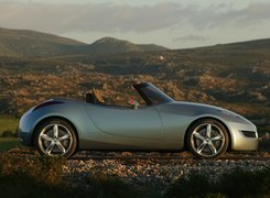 Renault Wind, Linia, Nadwozia, Roadster