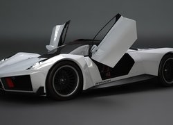 Marussia B1, Unoszone, Drzwi