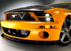 Ford Mustang, Grill, Ksenony