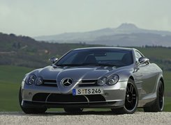 Mercedes Benz SLR, Niemcy