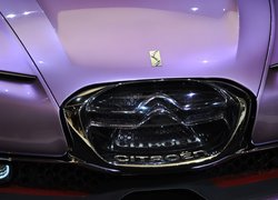 Citroen Revolte, Grill