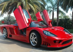 Saleen S7, Unoszone, Drzwi