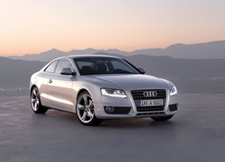 Audi A5, Niemcy