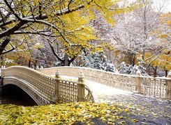 Central Park, Nowy York, Jesień