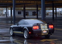 Ford Mustang Shelby, GT-H