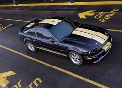 Ford Mustang Shelby, Namalowane, Pasy