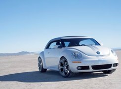 Volkswagen New Beetle