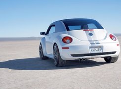 Volkswagen New Beetle