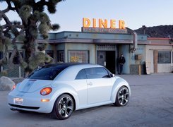 Volkswagen New Beetle