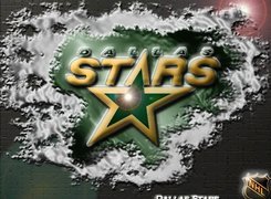 Logo, Drużyny, NHL, Dallas Stars