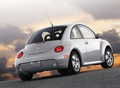 New Beetle, Srebrny