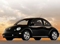 New Beetle, Czarne