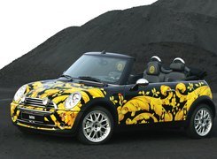 BMW Mini Cabrio, Unikalne, Malowanie