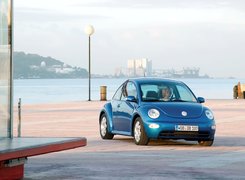 Volkswagen New Beetle