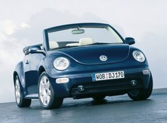 Volkswagen New Beetle, Biała Skóra