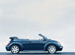 Volkswagen New Beetle