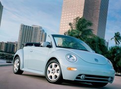 Volkswagen New Beetle