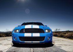 Shelby, Ford Mustang