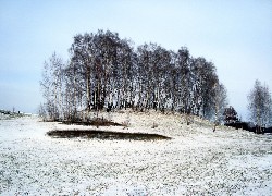 Bydgoszcz, Myślęcinek, Zagajnik