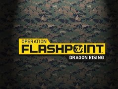 Logo, Operation Flashpoint 2