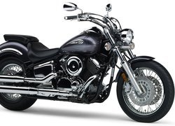 Yamaha V-Star 950, Bak