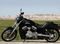 Harley-Davidson Night Rod, Siedzenie