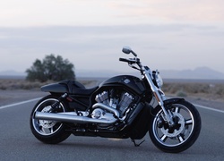 Harley Davidson V-Rod Muscle