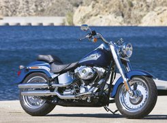 Harley-Davidson Softail Fat Boy, Amortyzatory, Przód