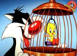 Looney Tunes, Sylwester, Tweety