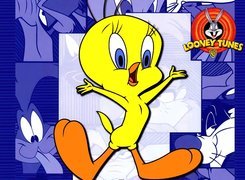 Looney Tunes, Kanarek, Tweety