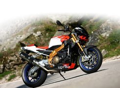 Aprilia Tuono 1000R, Rura, Wydechowa