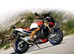 Aprilia Tuono 1000R, Rura, Wydechowa