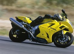 Triumph Daytona 955i