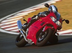 Triumph Daytona 955i, Tor, Kolano