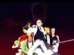 Vizard, Bleach