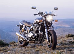 Yamaha XJR1300, Naked