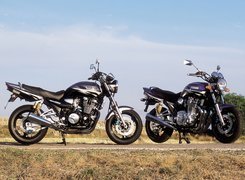 Yamaha XJR1300, Stopka, Centralna