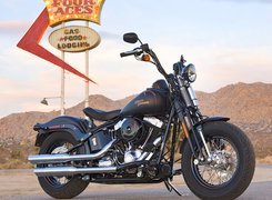 Harley Davidson Softail Cross Bones