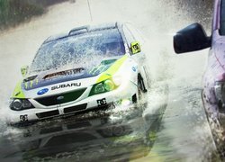 Colin McRae: DiRT 2, Woda