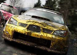 Screen, Colin McRae: DiRT 2