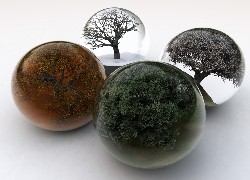 Drzewa, Kule, Grafika 3D