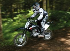 Suzuki DRZ 125