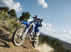 Yamaha WR 250F, Skok, Teren