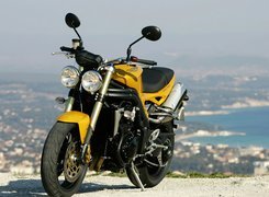 Triumph Speed Triple, Podwójna, Lampa