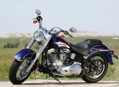 Harley Davidson Softail, Pas, Napędowy