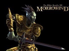 The Elder Scrolls III: Morrowind, Miecz