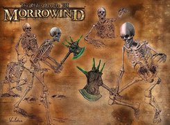 The Elder Scrolls III: Morrowind, Szkielety