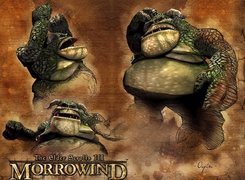 Screen, The Elder Scrolls III: Morrowind