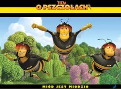 Film o pszczołach, Bee Movie, Miód, Jest, Miodzio