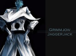 Grimmjow, Plecy, Numer 6